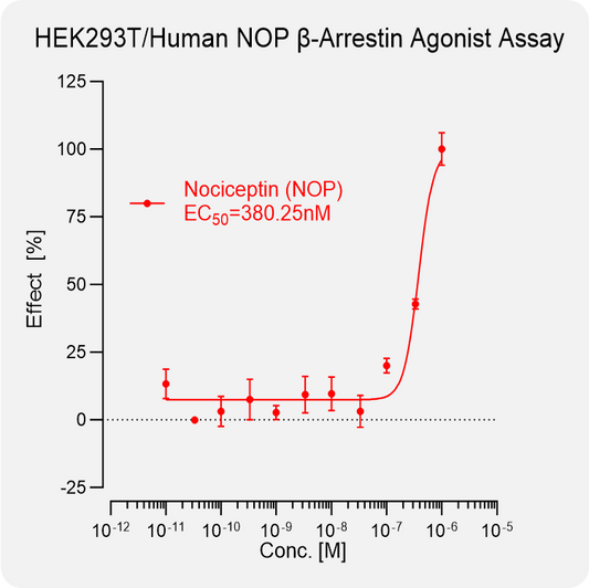 HEK293T Human NOP Arrestin Stable Cell