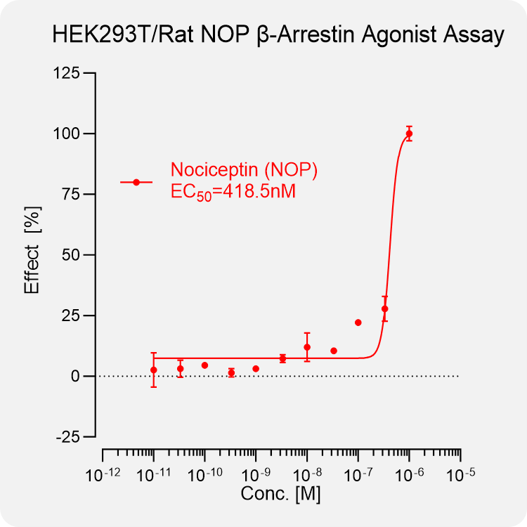 HEK293T Rat NOP Arrestin Stable Cell