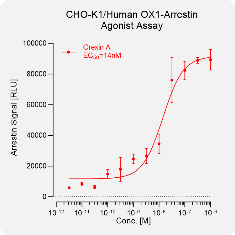 CHO-K1 Human OX1 Arrestin Stable Cell