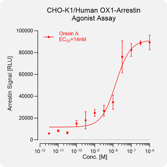 CHO-K1 Human OX1 Arrestin Stable Cell