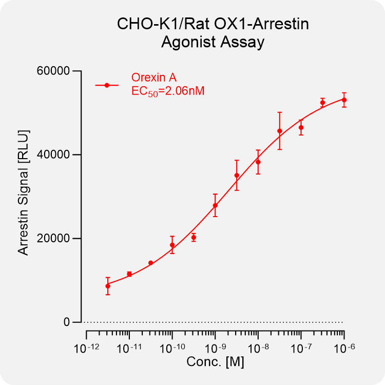 CHO-K1 Rat OX1 Arrestin Stable Cell