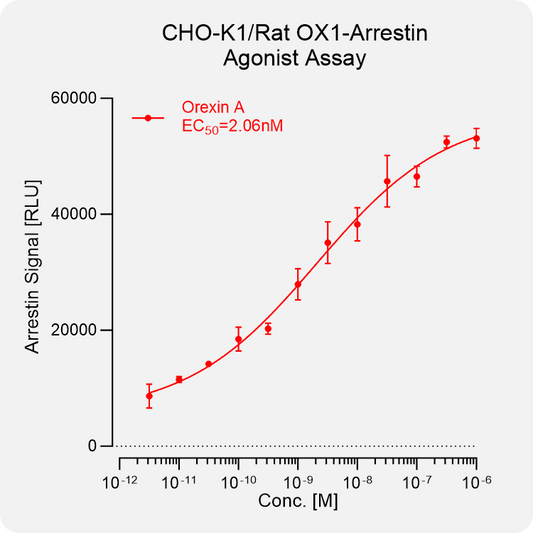 CHO-K1 Rat OX1 Arrestin Stable Cell