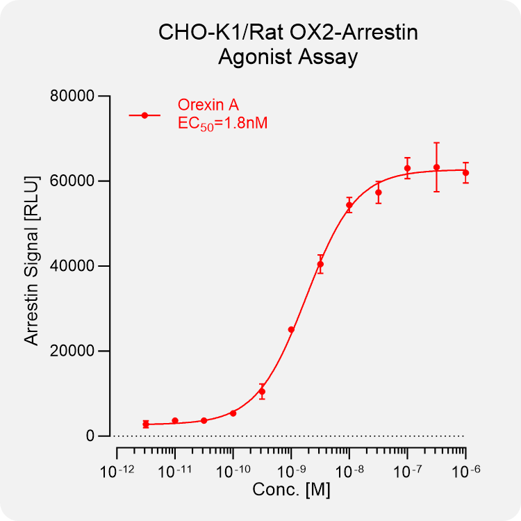 CHO-K1 Rat OX2 Arrestin Stable Cell