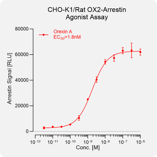 CHO-K1 Rat OX2 Arrestin Stable Cell