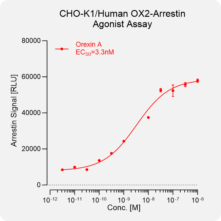 CHO-K1 Human OX2 Arrestin Stable Cell