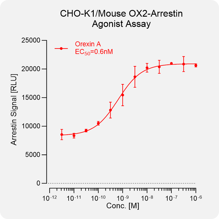 CHO-K1 Mouse OX2 Arrestin Stable Cell