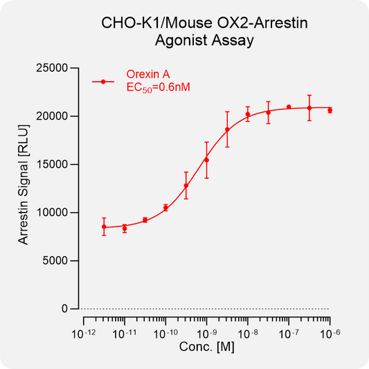 CHO-K1 Mouse OX2 Arrestin Stable Cell