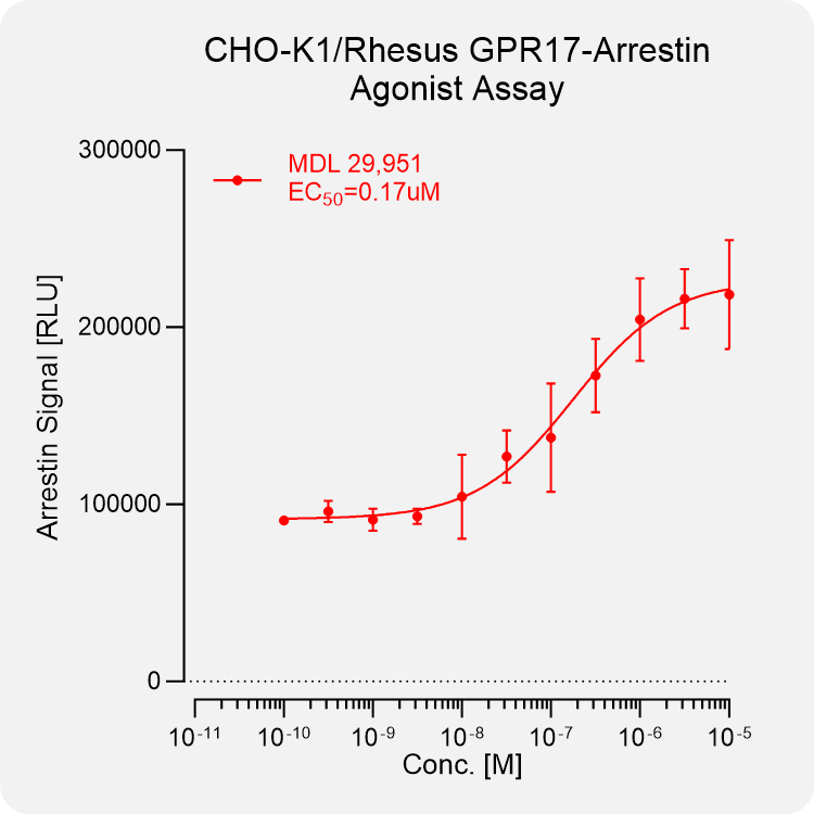CHO-K1 Rhesus GPR17 Arrestin Stable Cell