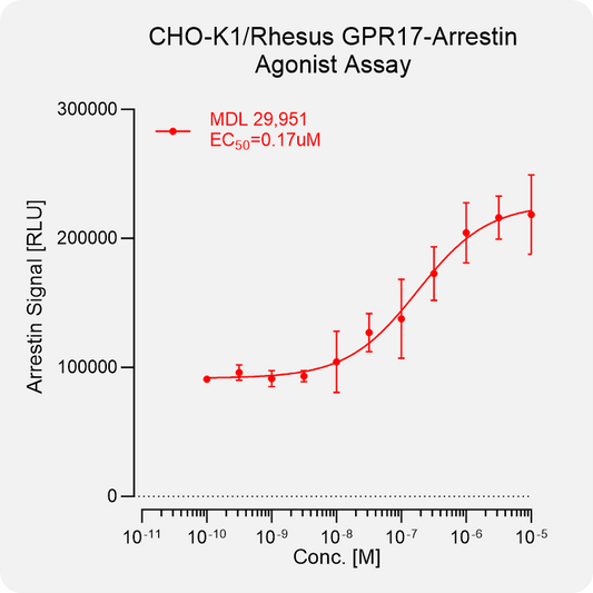CHO-K1 Rhesus GPR17 Arrestin Stable Cell