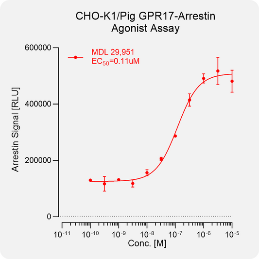 CHO-K1 Pig GPR17 Arrestin Stable Cell