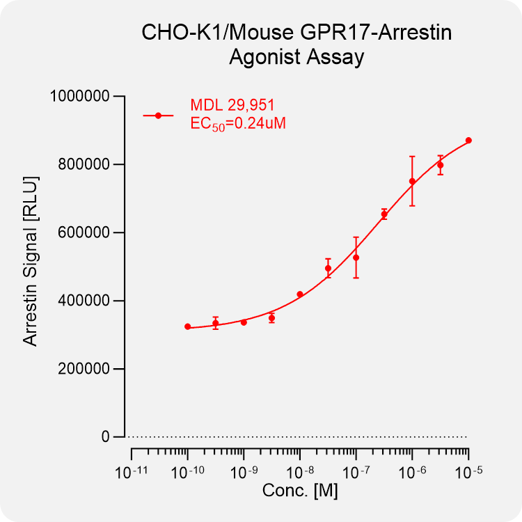 CHO-K1 Mouse GPR17 Arrestin Stable Cell