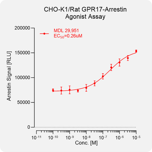 CHO-K1 Rat GPR17 Arrestin Stable Cell