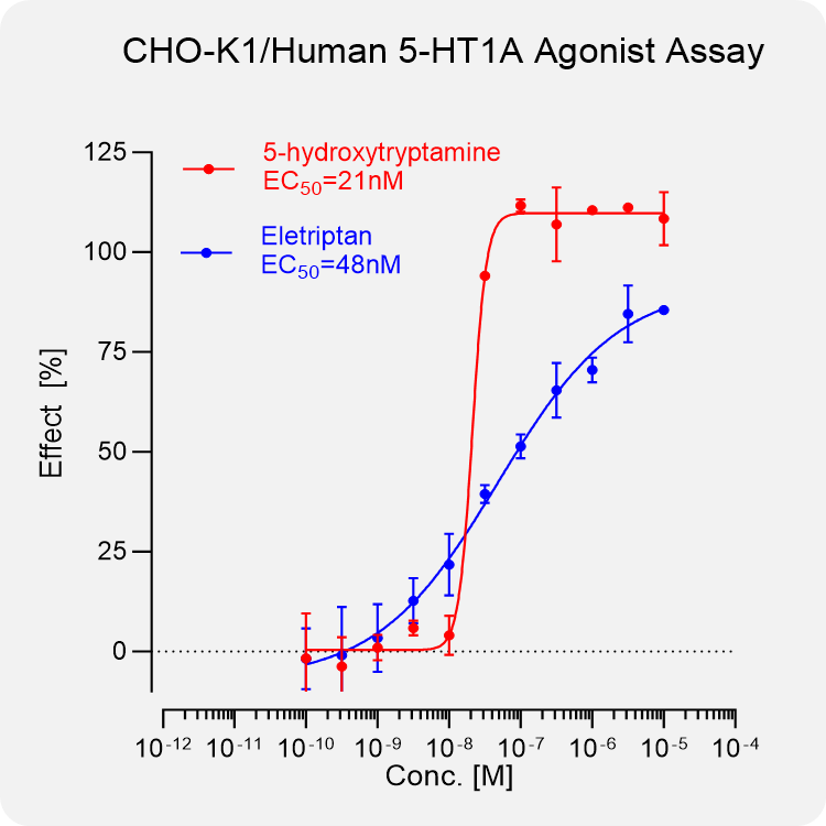 CHO-K1 Human 5-HT1A Stable Cell