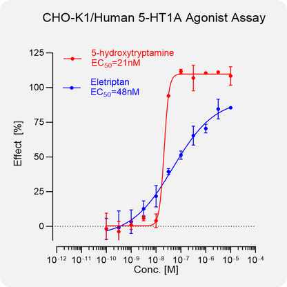 CHO-K1 Human 5-HT1A Stable Cell