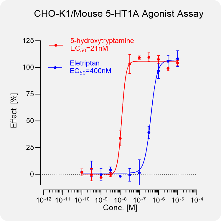 CHO-K1 Mouse 5-HT1A Stable Cell