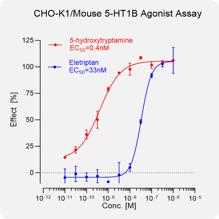 CHO-K1 Mouse 5-HT1B Stable Cell