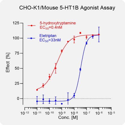 CHO-K1 Mouse 5-HT1B Stable Cell