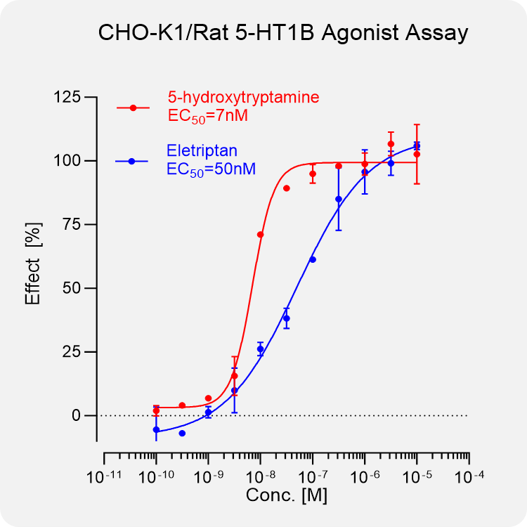 CHO-K1 Rat 5-HT1B Stable Cell