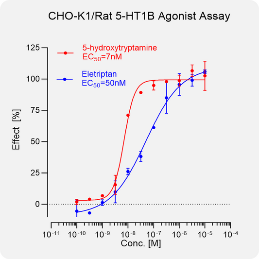 CHO-K1 Rat 5-HT1B Stable Cell