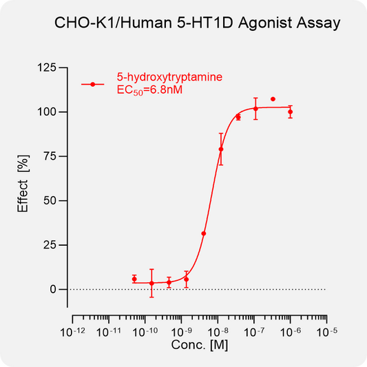 CHO-K1 Human 5-HT1D Stable Cell