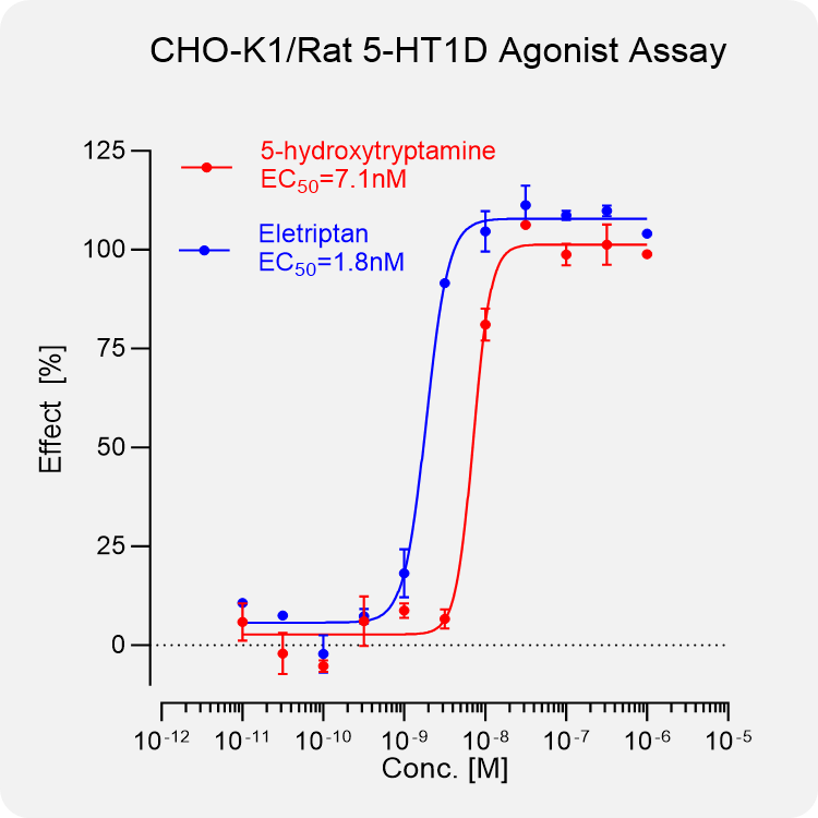 CHO-K1 Rat 5-HT1D Stable Cell