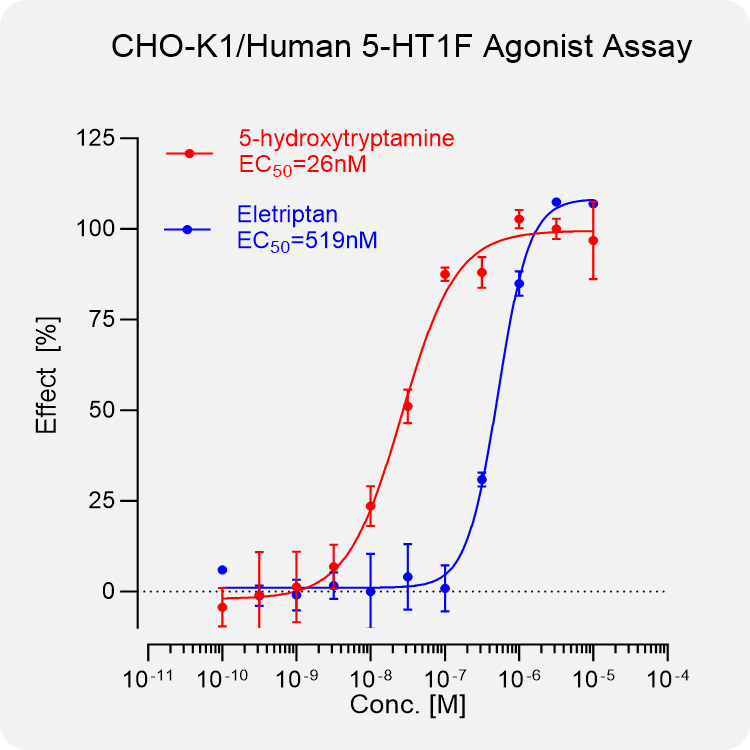 CHO-K1 Human 5-HT1F Stable Cell