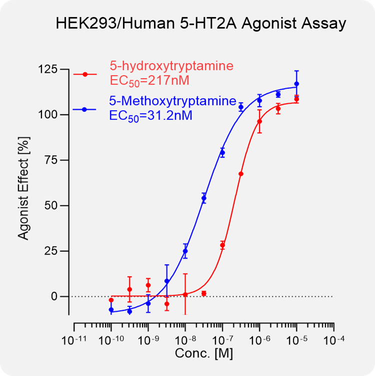 HEK293 Human 5-HT2A Stable Cell