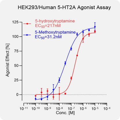 HEK293 Human 5-HT2A Stable Cell