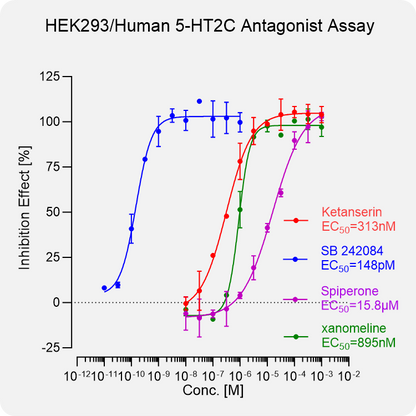 HEK293 Human 5-HT2C Stable Cell