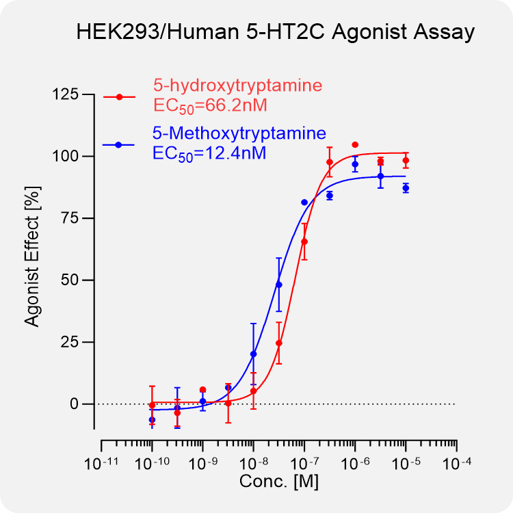 HEK293 Human 5-HT2C Stable Cell