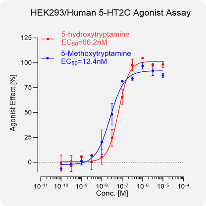 HEK293 Human 5-HT2C Stable Cell