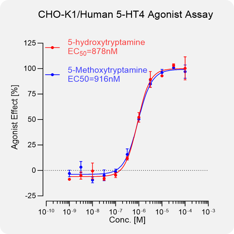 CHO-K1 Human 5-HT4 Stable Cell