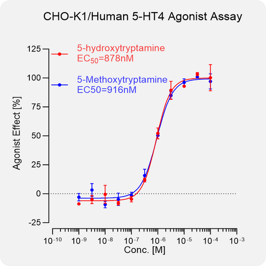 CHO-K1 Human 5-HT4 Stable Cell
