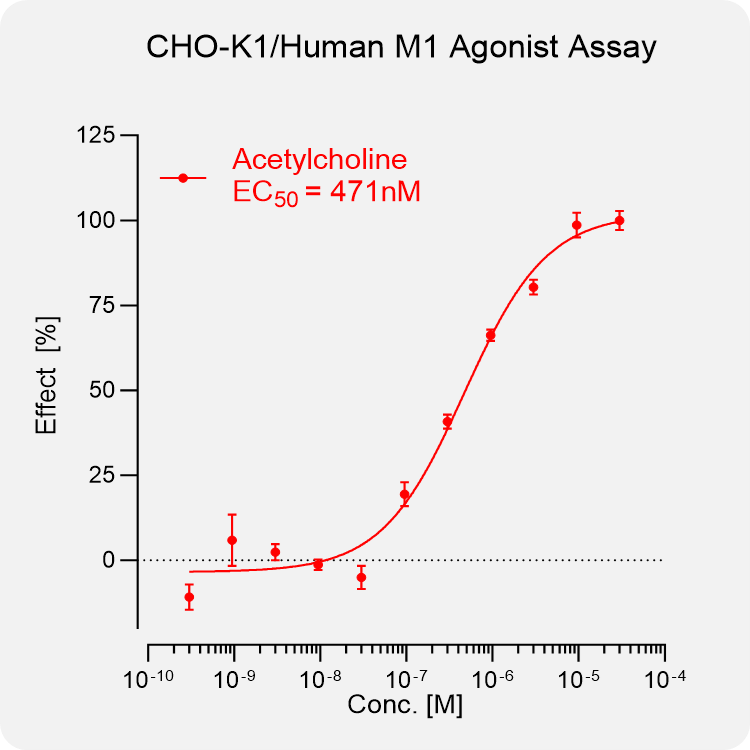 CHO-K1 Human M1 Stable Cell