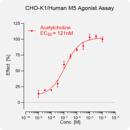 CHO-K1 Human M5 Stable Cell