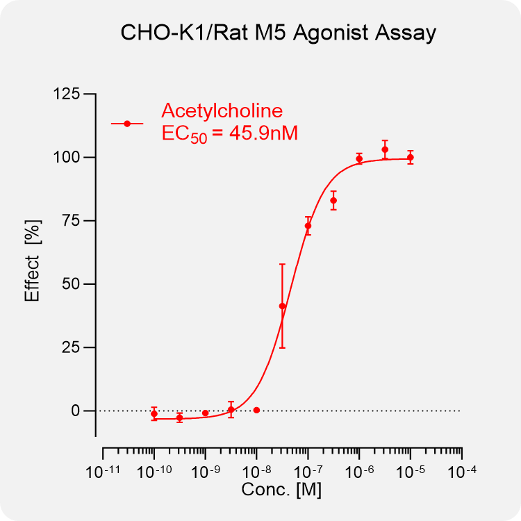 CHO-K1 Rat M5 Stable Cell