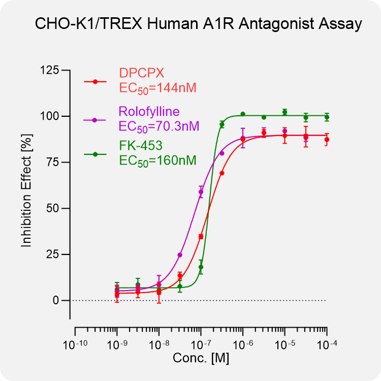 CHO-K1 TREX Human A1R Stable Cell