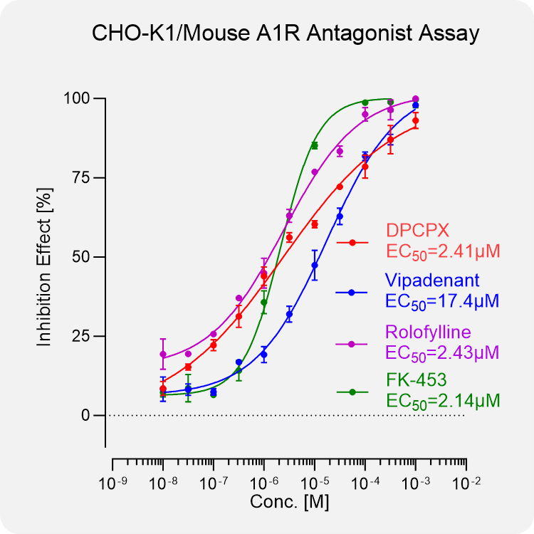 CHO-K1 Mouse A1R Stable Cell
