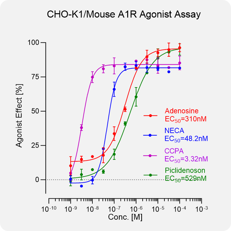 CHO-K1 Mouse A1R Stable Cell