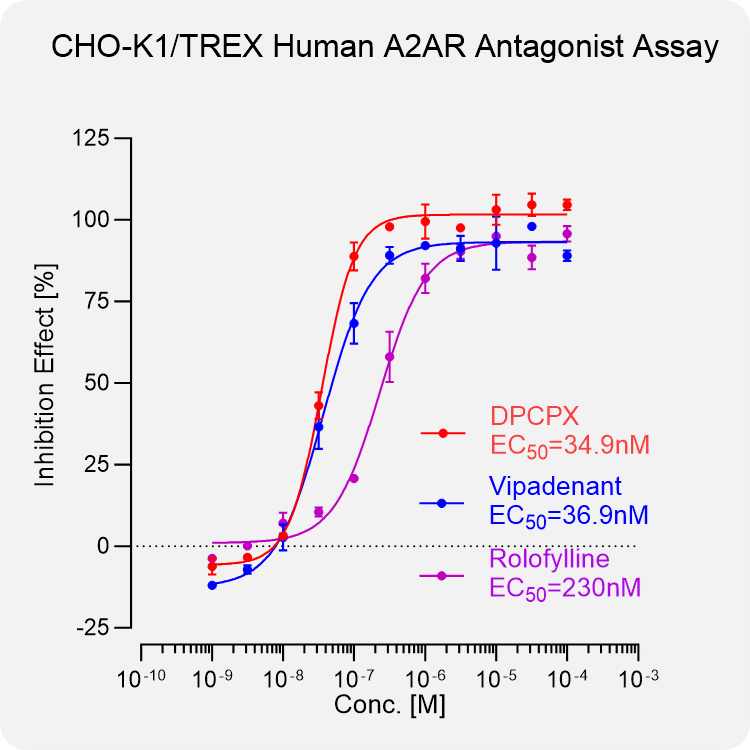 CHO-K1 TREX Human A2AR Stable Cell