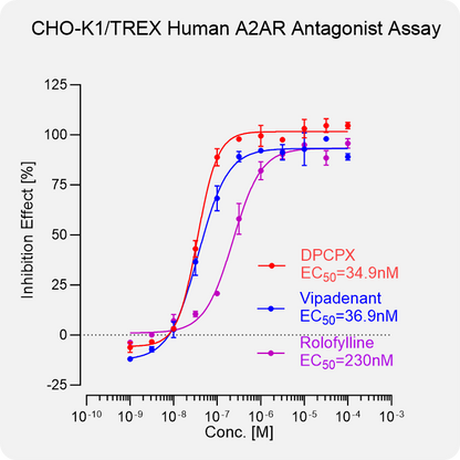 CHO-K1 TREX Human A2AR Stable Cell