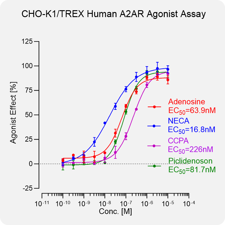 CHO-K1 TREX Human A2AR Stable Cell