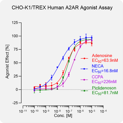 CHO-K1 TREX Human A2AR Stable Cell