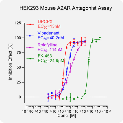 HEK293 Mouse A2AR Stable Cell