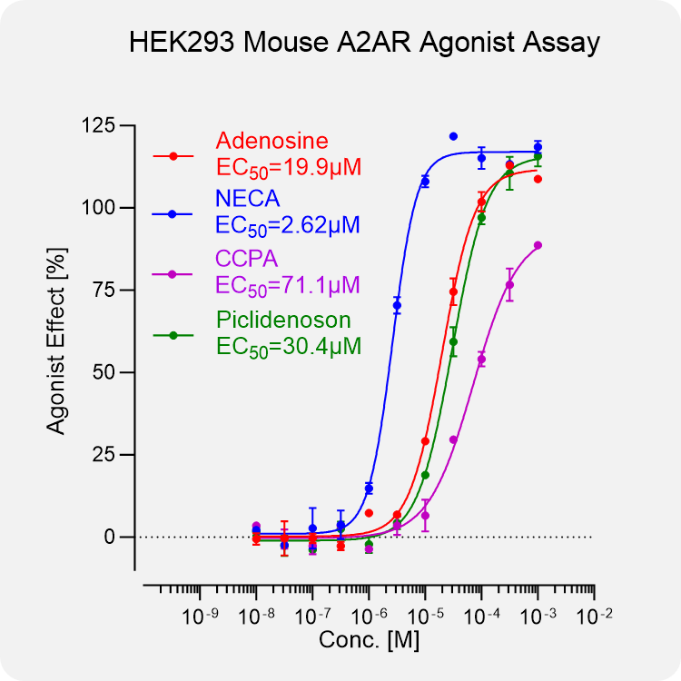 HEK293 Mouse A2AR Stable Cell