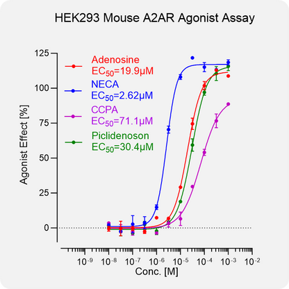 HEK293 Mouse A2AR Stable Cell