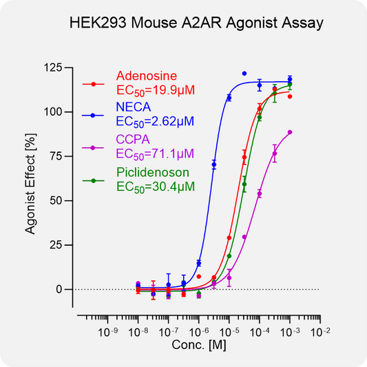 HEK293 Mouse A2AR Stable Cell