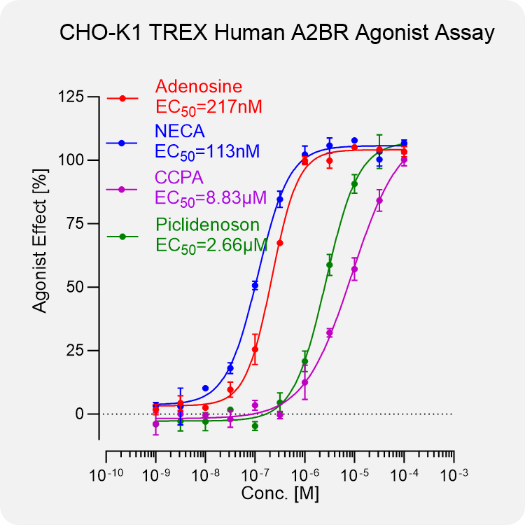 CHO-K1 TREX Human A2BR Stable Cell
