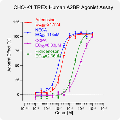 CHO-K1 TREX Human A2BR Stable Cell