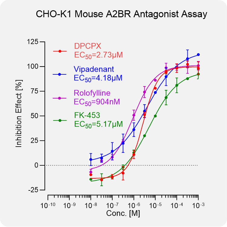 CHO-K1 Mouse A2BR Stable Cell